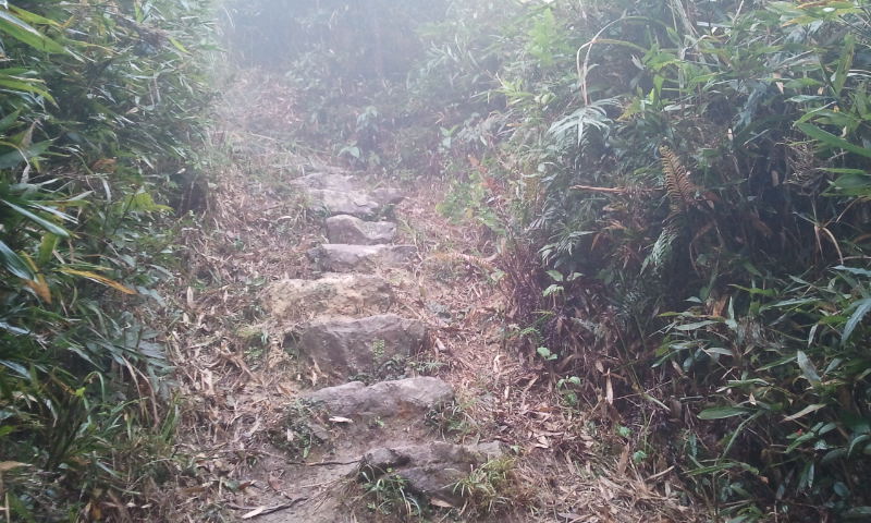 2014-12-28 11.15.31.jpg