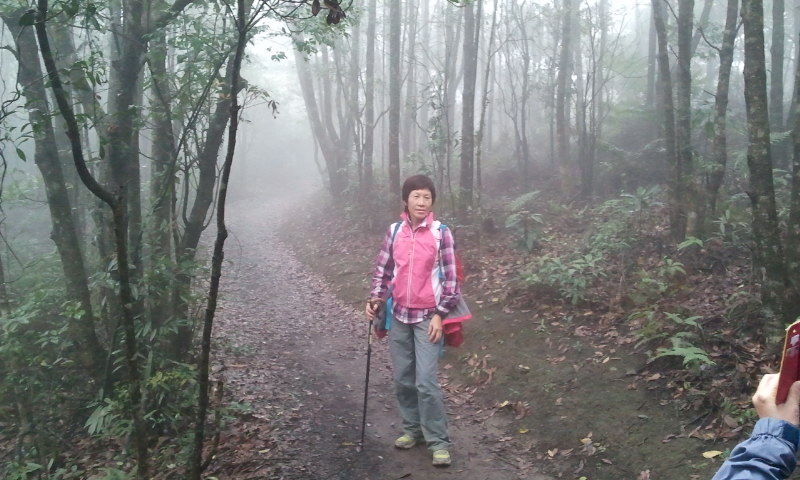 2014-12-28 12.32.02.jpg