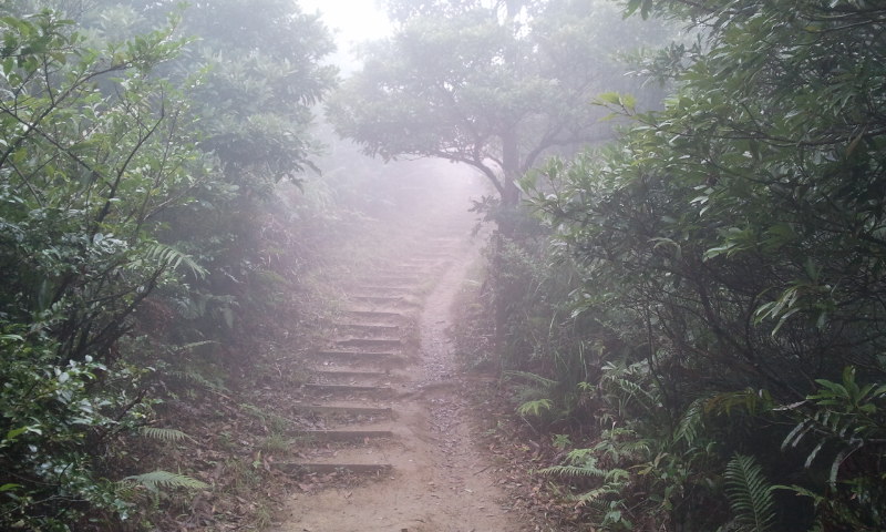 2014-12-28 12.54.10.jpg