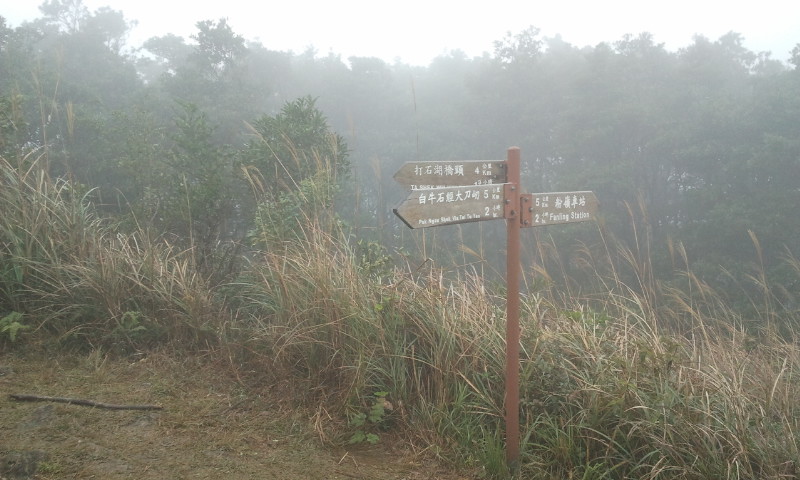 2014-12-28 13.08.27.jpg