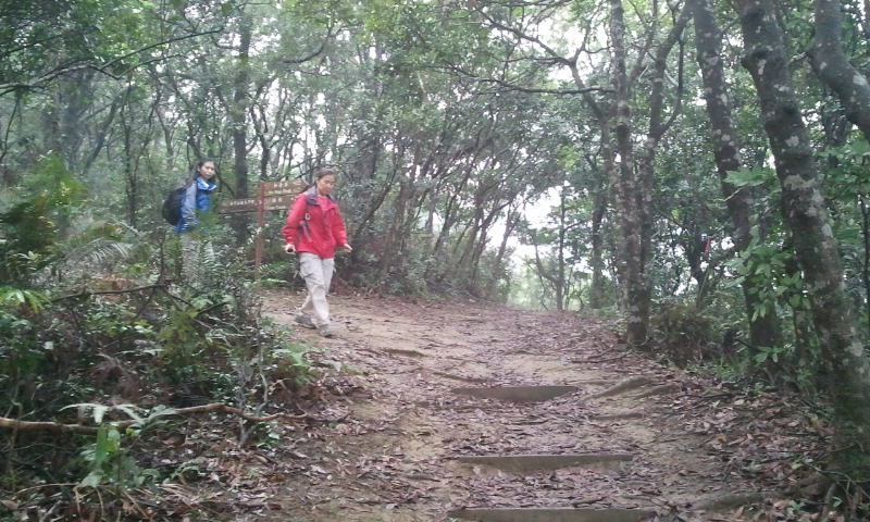 2014-12-28 13.57.19.jpg