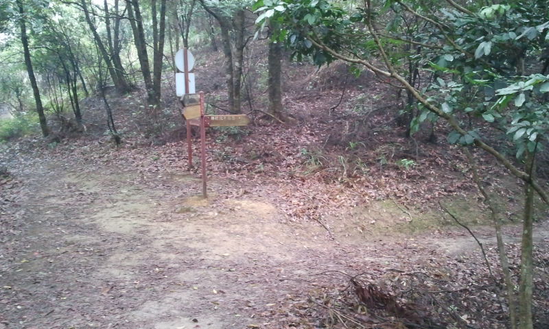 2014-12-28 13.59.40.jpg