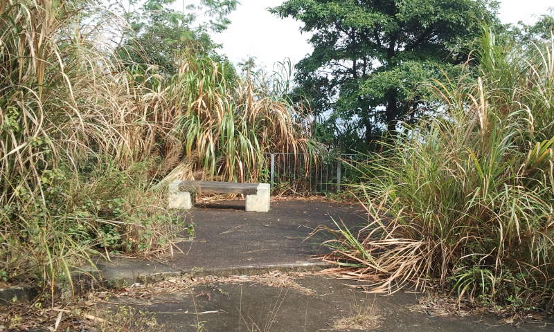 2014-12-28 14.10.22.jpg