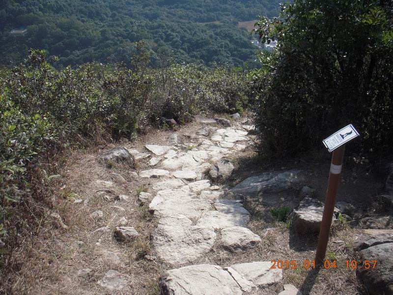 DSCN3204.JPG