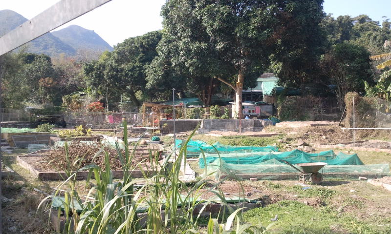 2015-01-04 14.45.32.jpg
