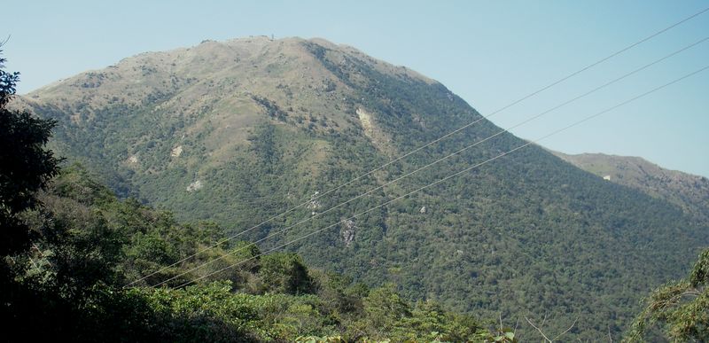 DSCN1596.jpg