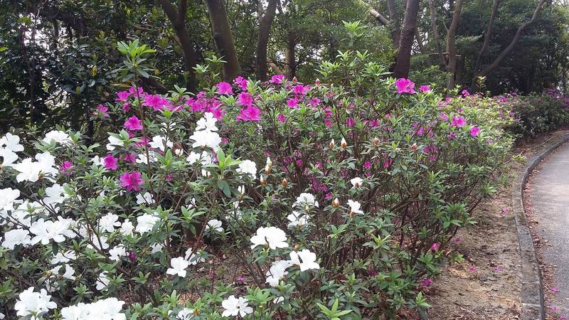 20150315_104220.jpg