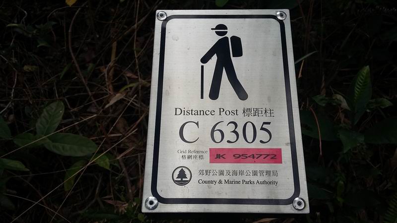 20150315_122308.jpg