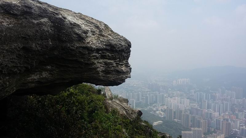 20150412_120651.jpg