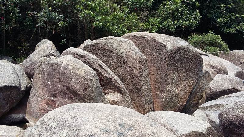 20150412_144911.jpg