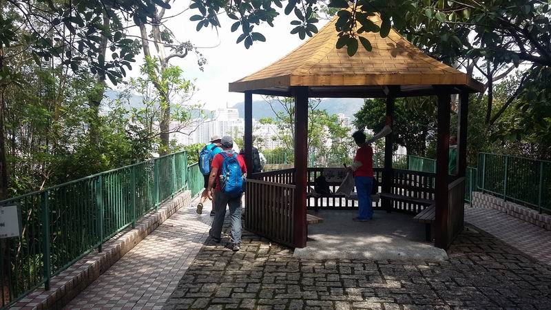 20150531_101749.jpg