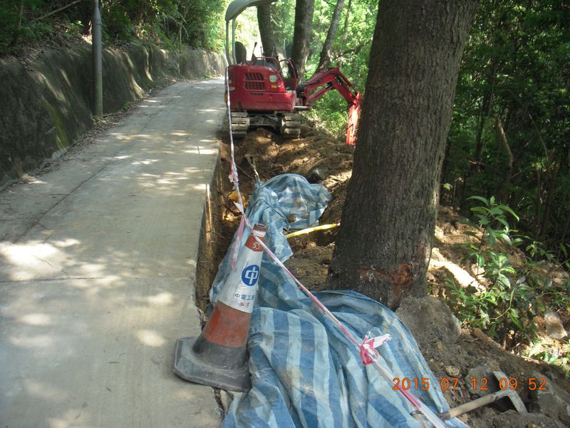 DSCN0266.JPG