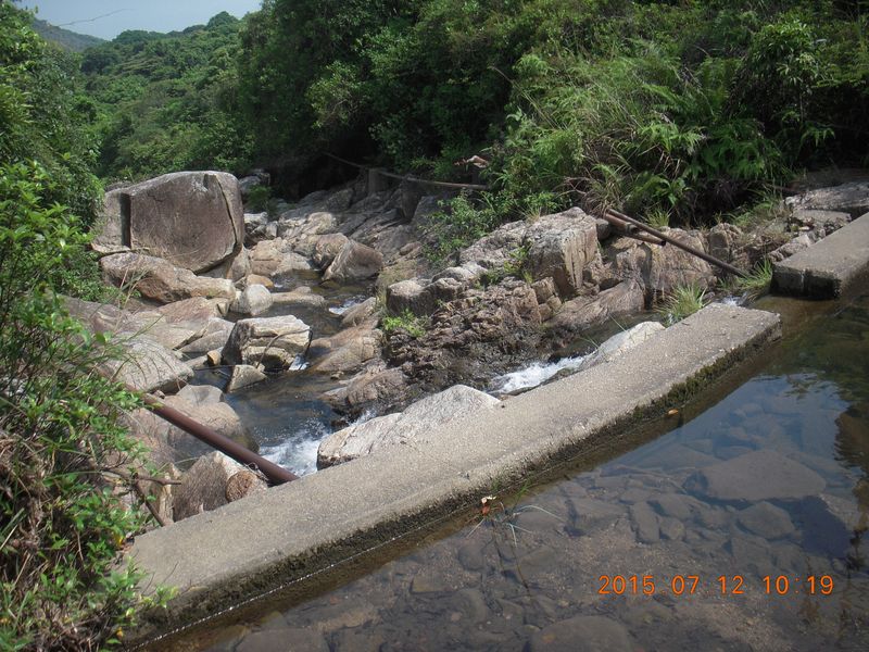 DSCN0275.JPG
