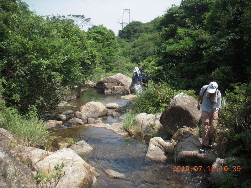 DSCN0284.JPG