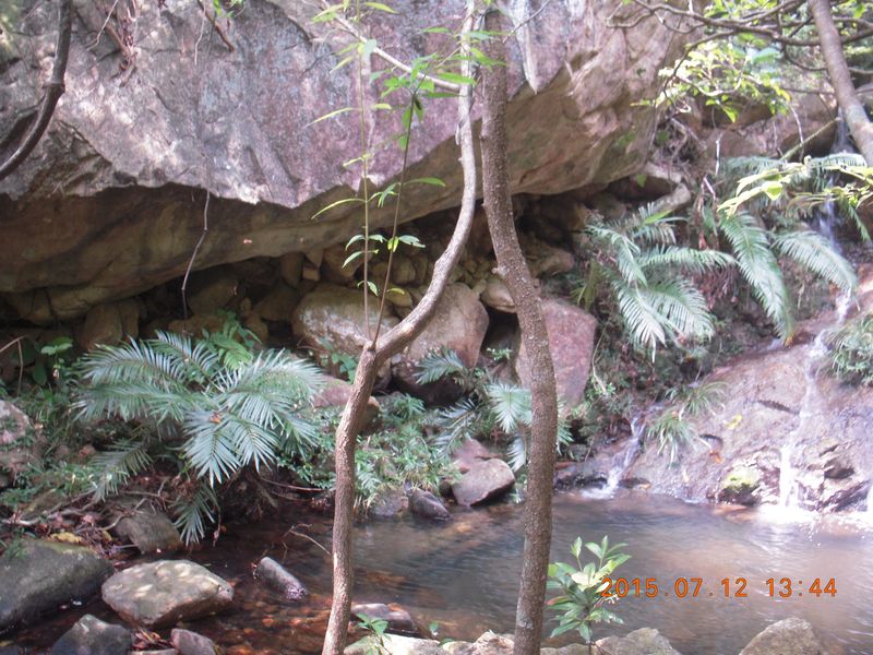 DSCN0291.JPG