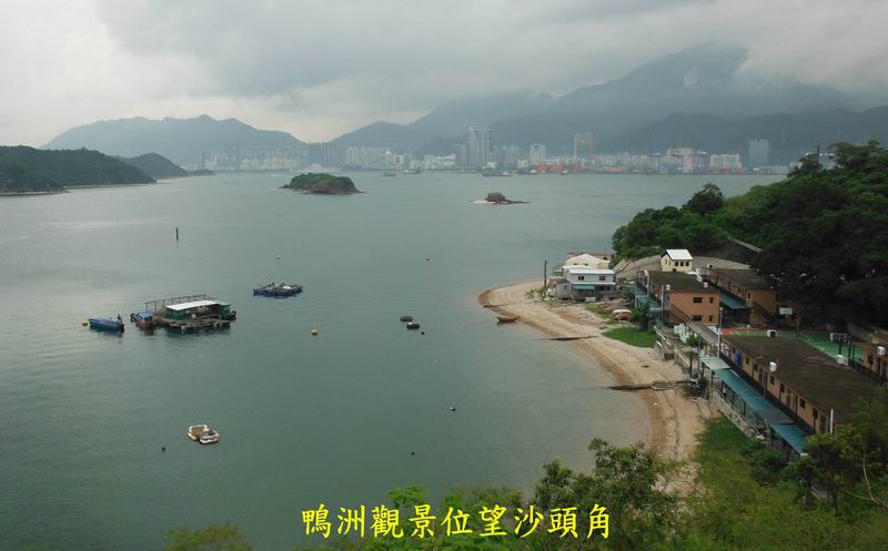 DSCF3505.jpg