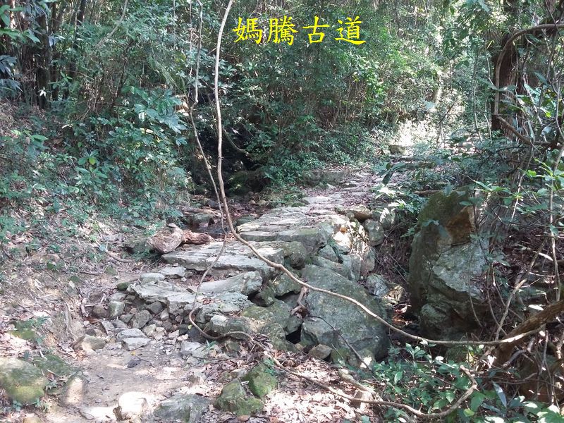 20150913_102419.jpg