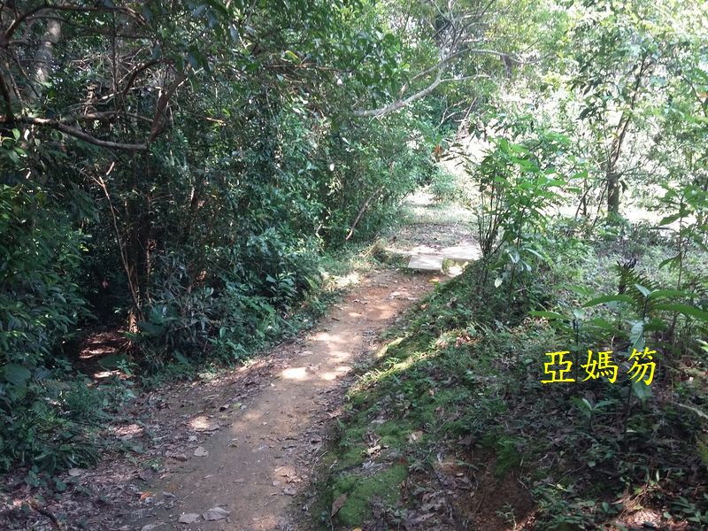 20150913_105140.jpg