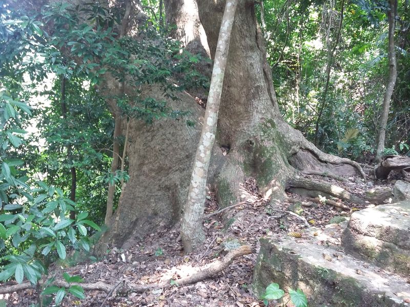 20150913_114451.jpg