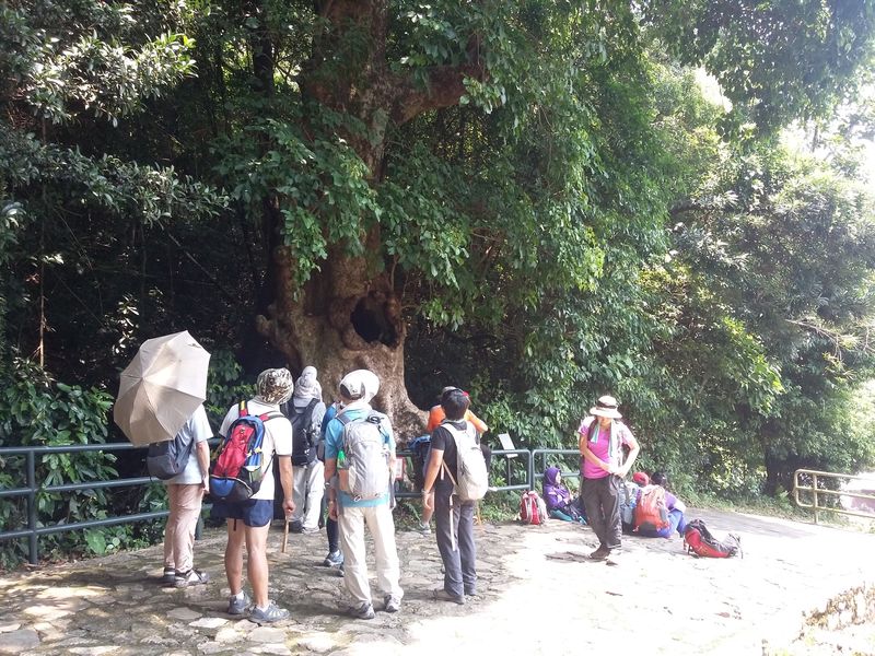 20150913_115234.jpg