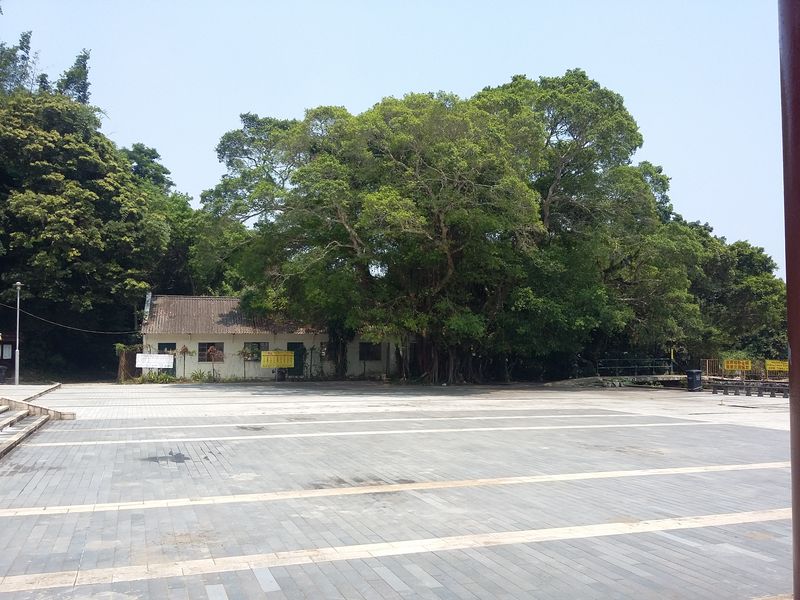 20150913_123919.jpg