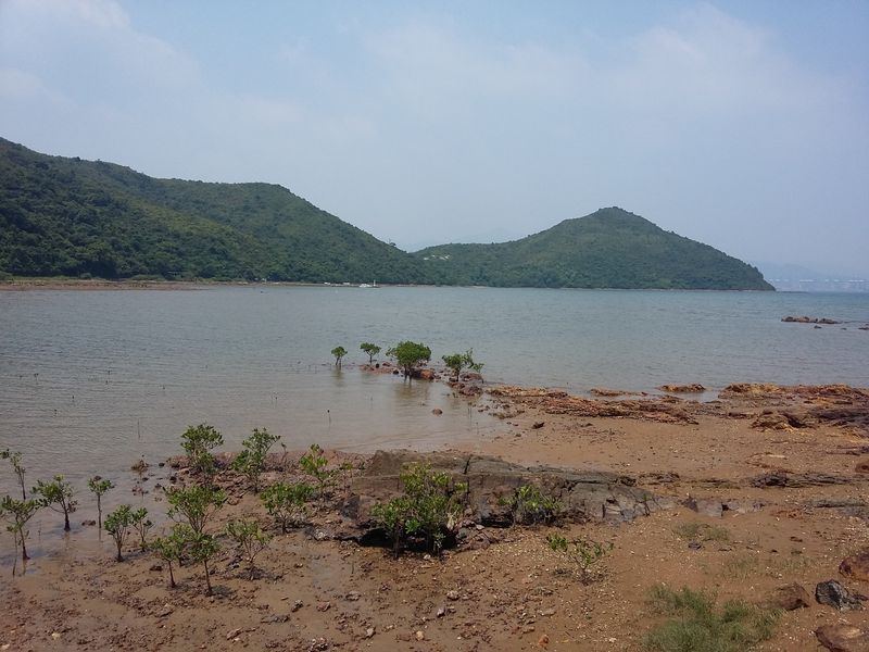 20150913_125617.jpg