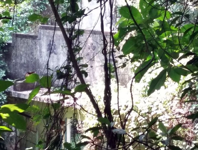 20150913_131617.jpg