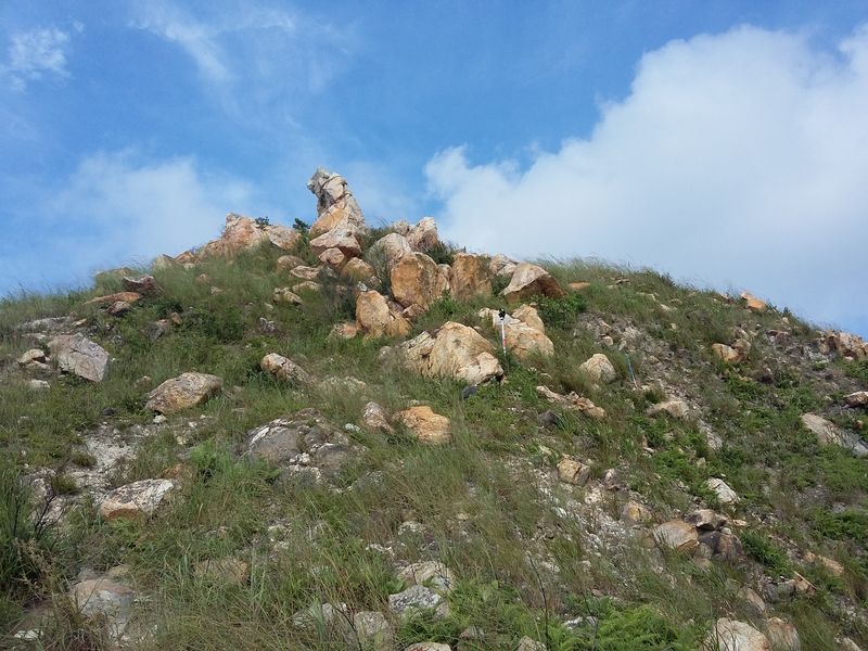 20150920_155205.jpg