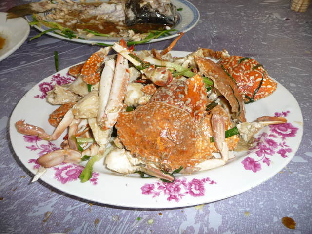 P1020080.jpg