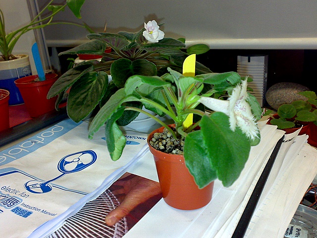 20081027045.JPG