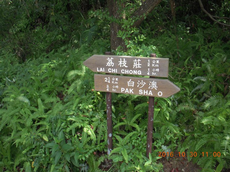 DSCN0246.jpg