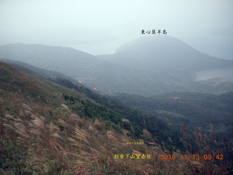 DSCN0707.jpg