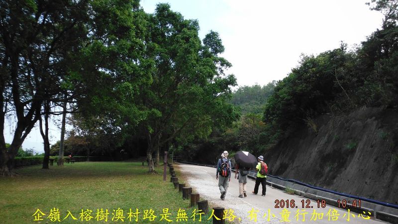 DSCF5446.jpg