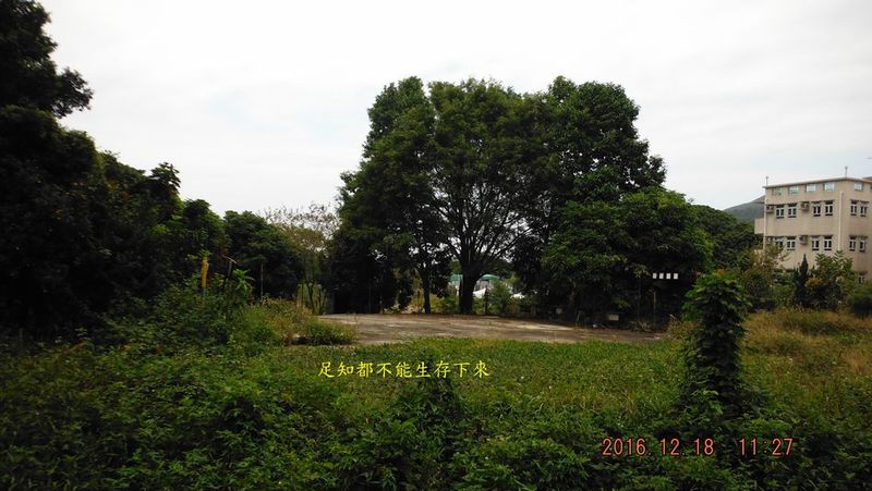 DSCF5475.jpg