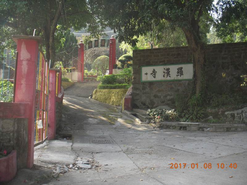 010.JPG