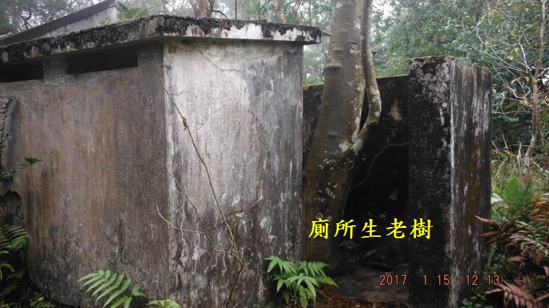 DSCF5737.JPG