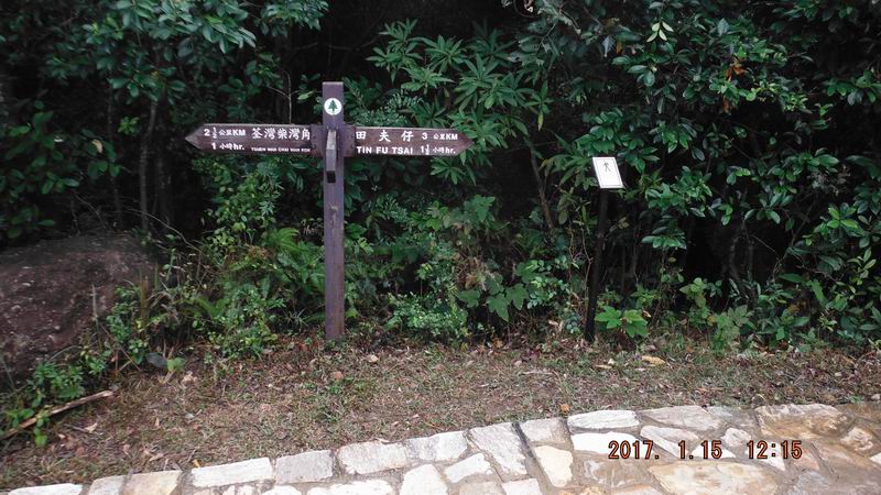 DSCF5740.JPG