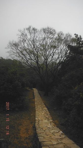 DSCF5742.JPG