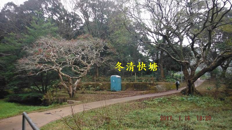 DSCF5762.JPG