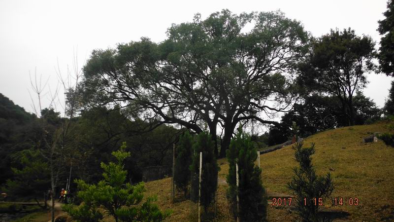 DSCF5769.JPG