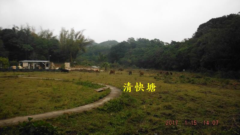 DSCF5772.JPG