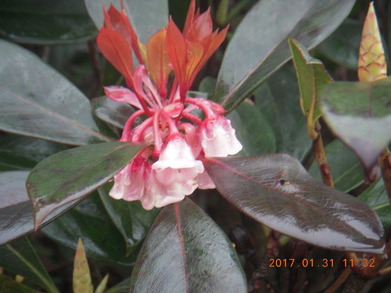 DSCN1649.jpg