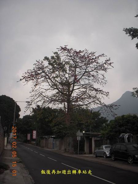 55.JPG