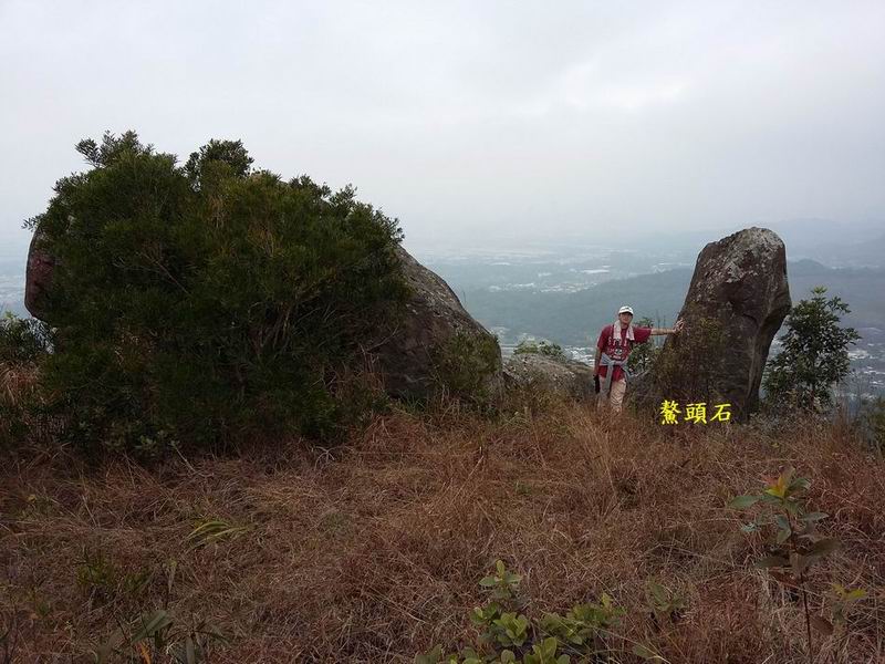 DSCN2126.jpg