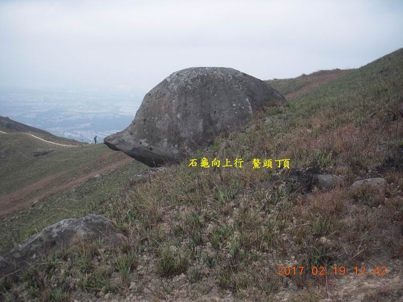 DSCN2155.jpg