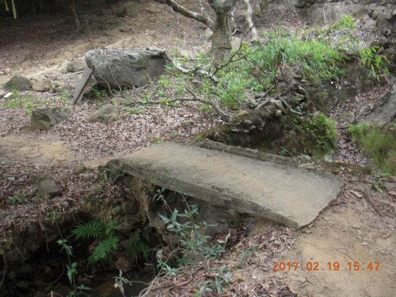 DSCN2181.jpg