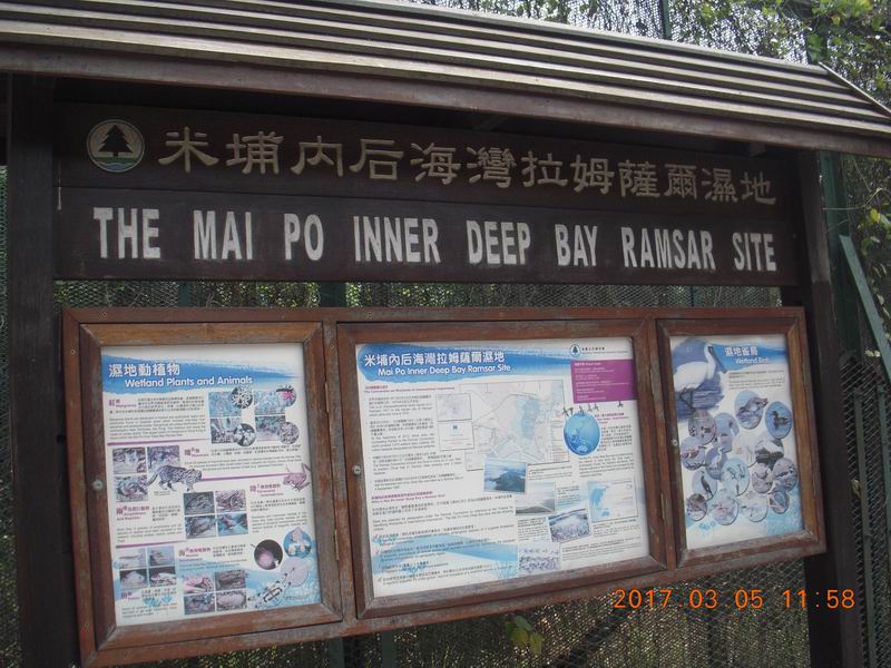 DSCN2199.JPG