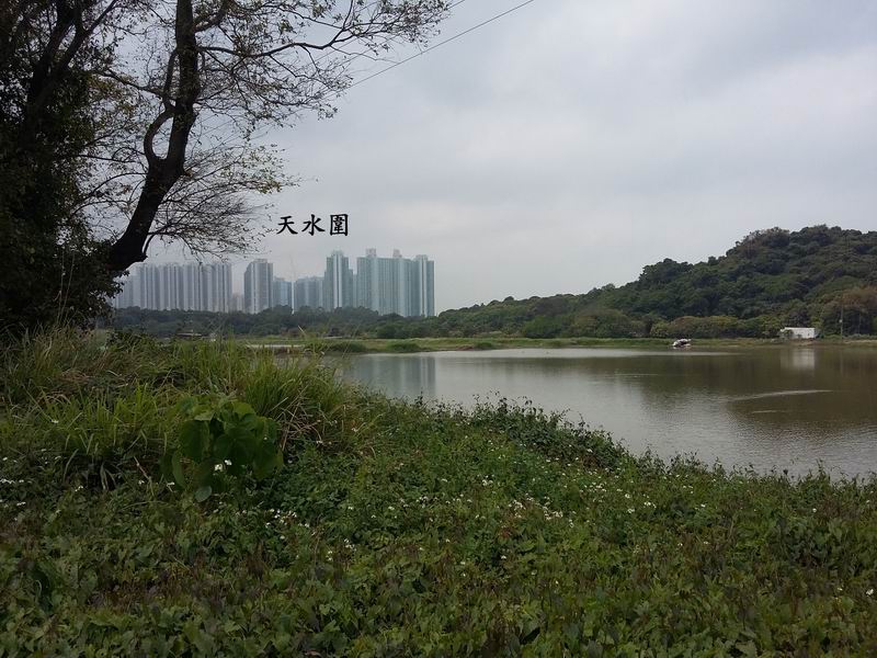20170305_121334.jpg