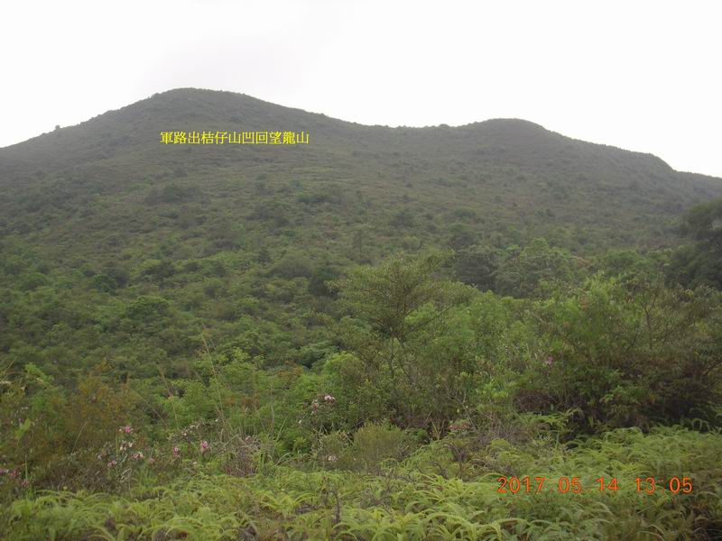 DSCN2795.jpg
