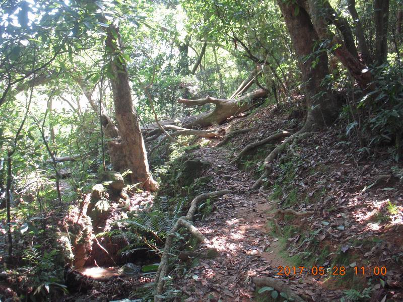 DSCN2912.JPG